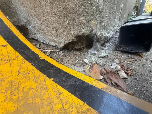 Photograph from exterior taken during the damp survey