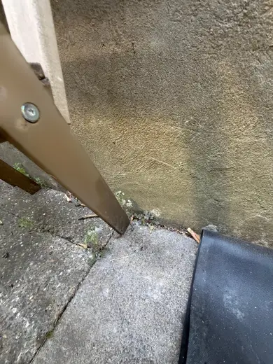 Photograph from exterior taken during the damp survey