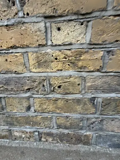 Photograph from exterior taken during the damp survey