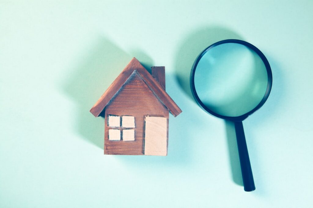 Awaab’s Law and Landlord Obligations for Damp and Mould: What You Need to Know