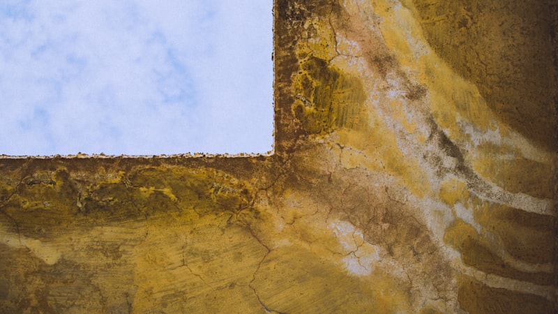 Warehouse Conversions in Tower Hamlets: Damp and Cold Bridging
