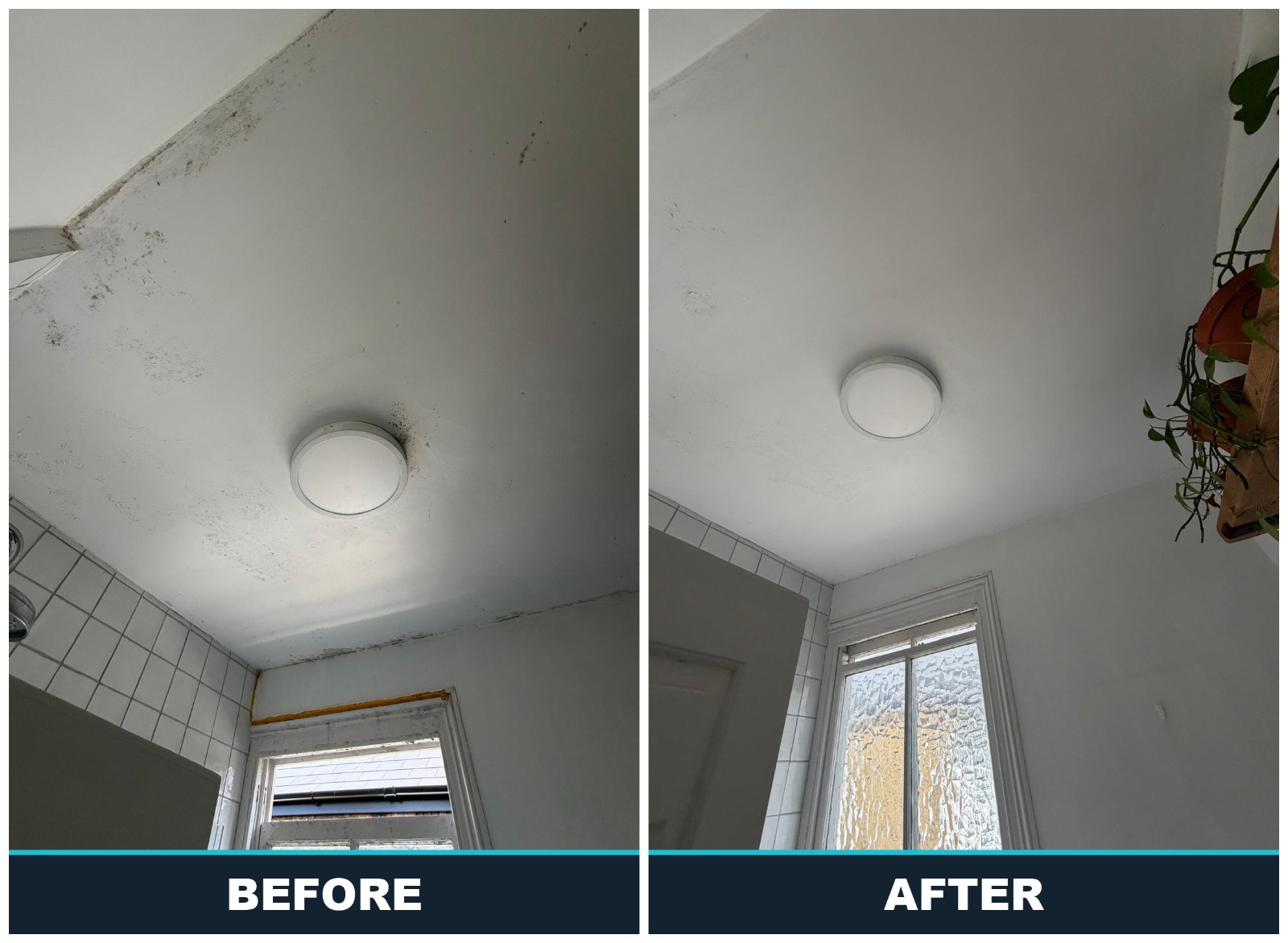 Before and after: bathroom ceiling condensation mould removed by Damp and Mould Solutions UK