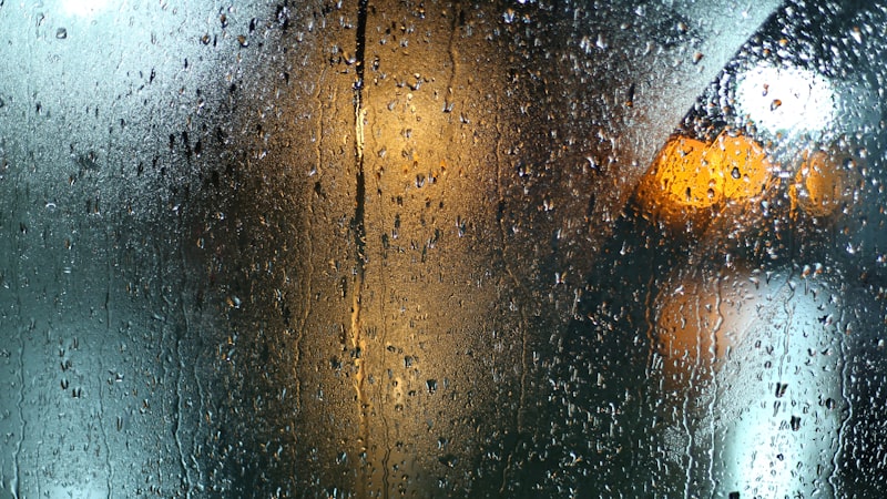 What Causes Black Mould on Walls?