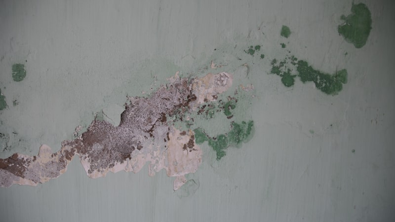Why Riverside Homes in Greenwich Struggle With Damp