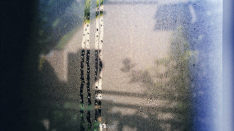 Condensation, Damp and Mould: What’s the Difference?