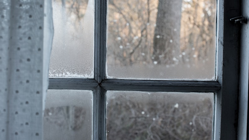 Mould and Babies: Why You Should Never Ignore It