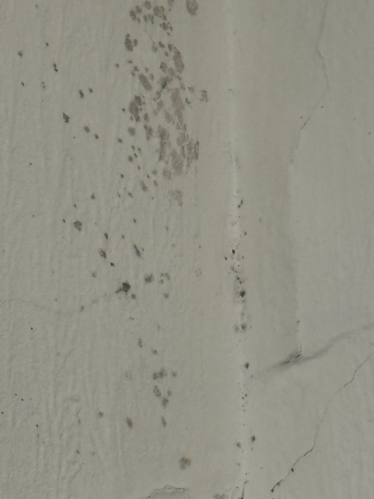 Landlord Fines for Damp and Mould: What You Could Actually Pay