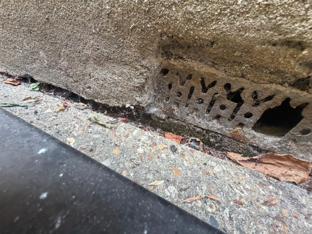 What Is a Damp and Mould Disrepair Claim?