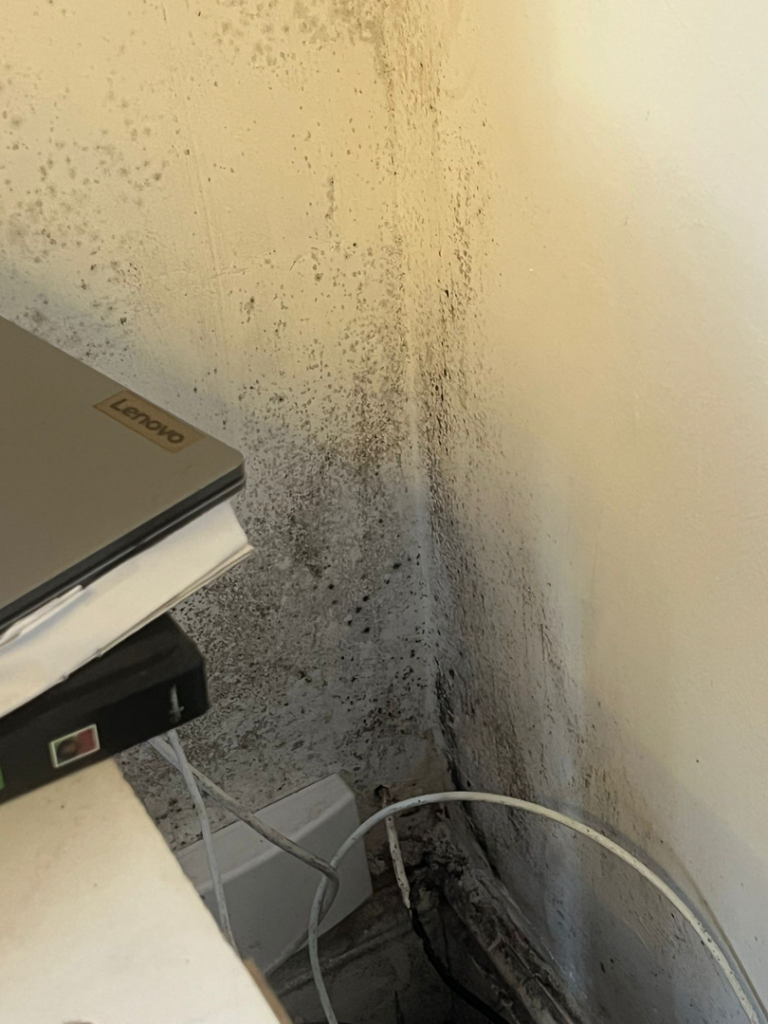 Housing Ombudsman Damp and Mould Rulings: What They Keep Saying