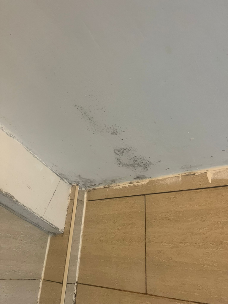 What Counts as a Category 1 Damp Hazard?